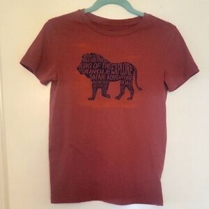Great shape, Boy's M. Short sleeved, Maroon Lion Graphic atee, by Epic Threads.